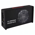 Subwoofer Activo Amplificado 10" Pioneer TS-BW250A 1000W